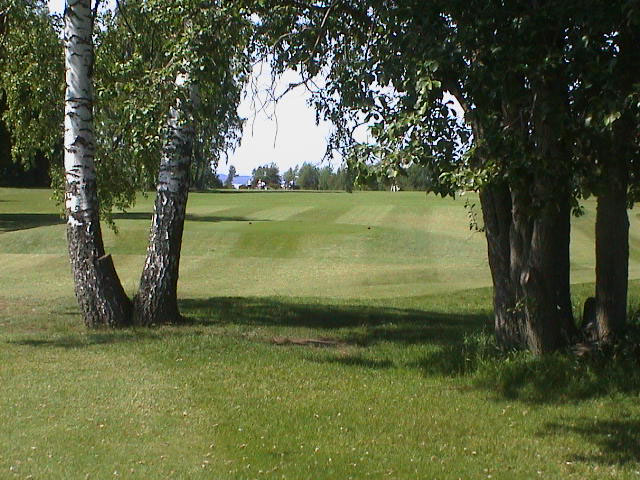 DSC00490