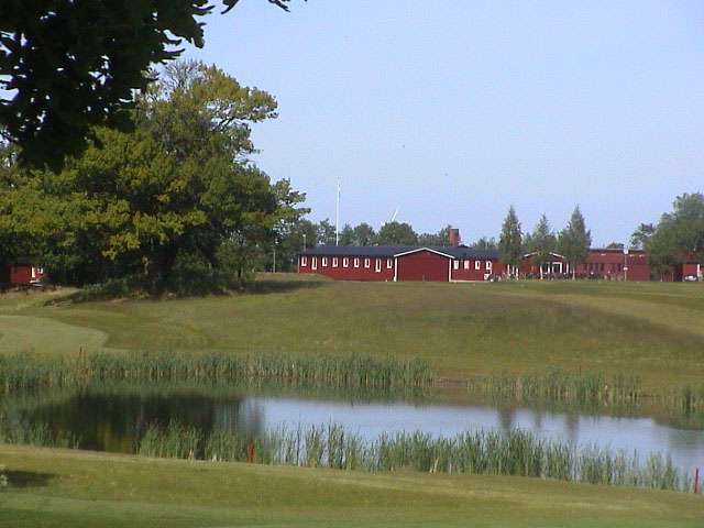 DSC00503